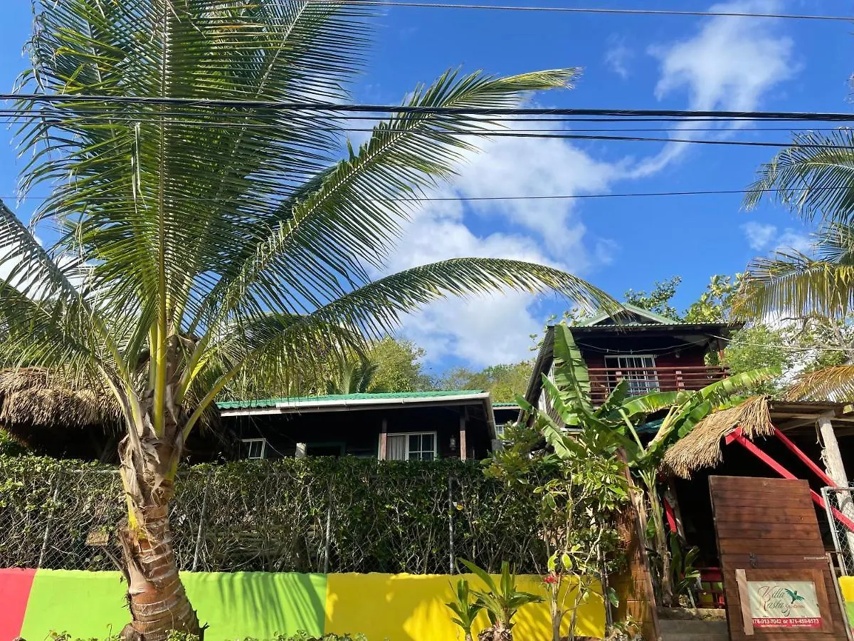 Villa Rasta - Ocean View Bungalows 安东尼奥港 牙买加
